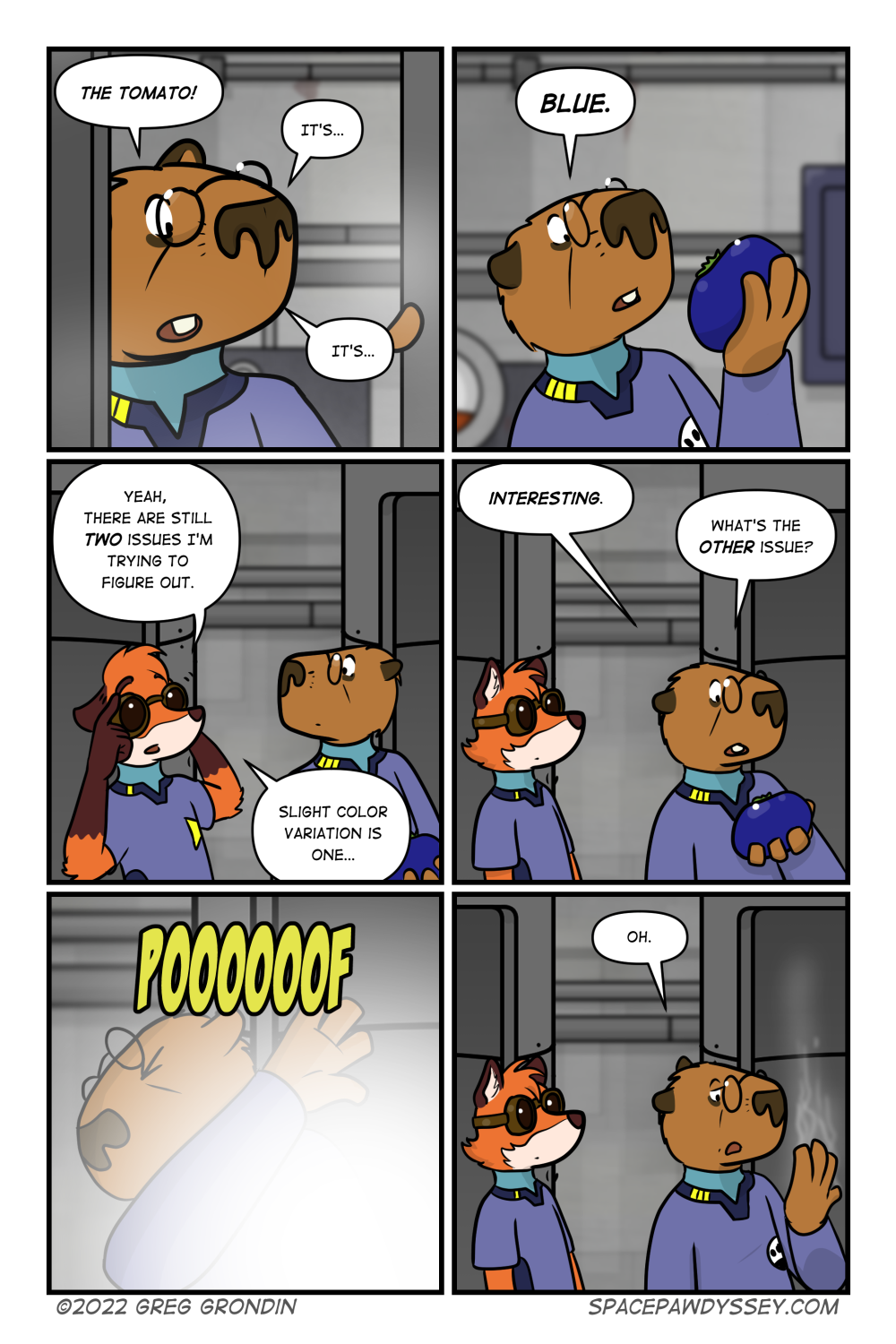 Space Pawdyssey #559